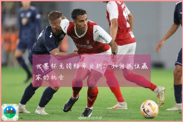 世界杯竞猜赔率分析：如何抓住赢家的机会