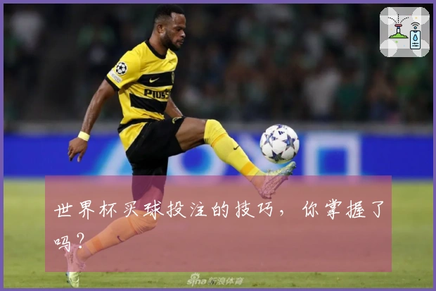 世界杯买球投注的技巧，你掌握了吗？
