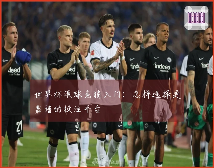 世界杯滚球竞猜入门：怎样选择更靠谱的投注平台