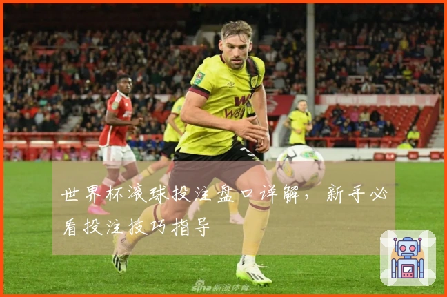 世界杯滚球投注盘口详解，新手必看投注技巧指导
