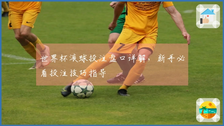 世界杯滚球投注盘口详解，新手必看投注技巧指导
