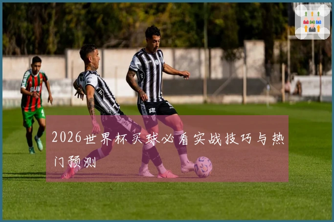 2026世界杯买球必看实战技巧与热门预测