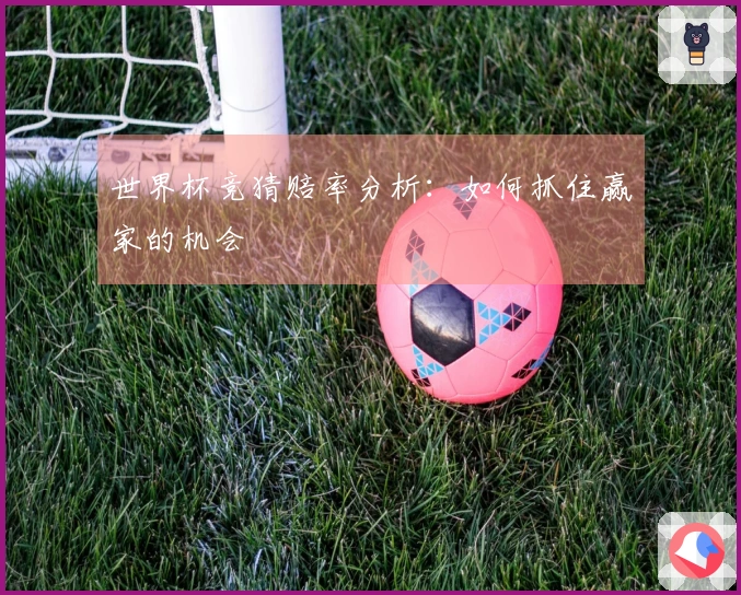 世界杯竞猜赔率分析：如何抓住赢家的机会