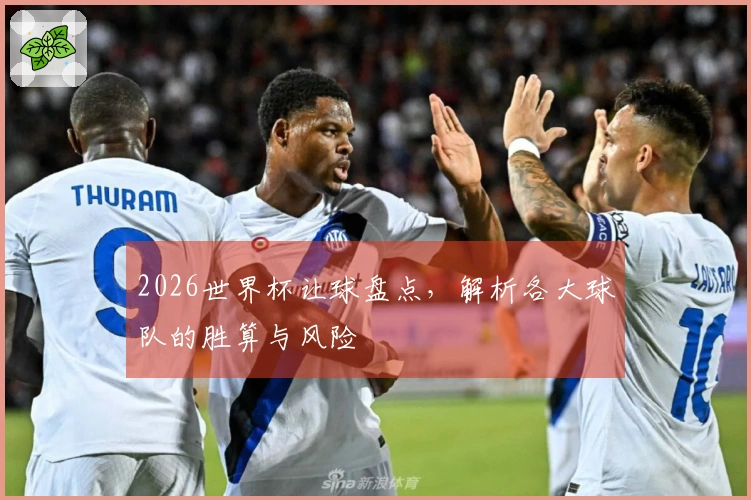 2026世界杯让球盘点，解析各大球队的胜算与风险